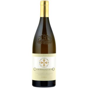 Cantine Belisario Cambrugiano Verdicchio Riserva 2020