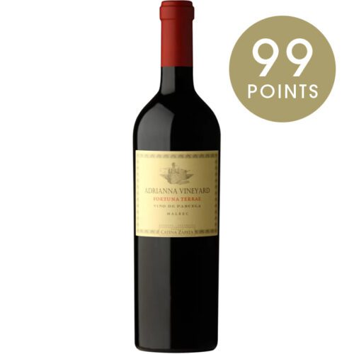 Catena Zapata Adrianna Vineyard Fortuna Terrae Malbec 2020