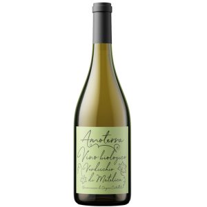 Amoterra Verdicchio di Matelica 2023